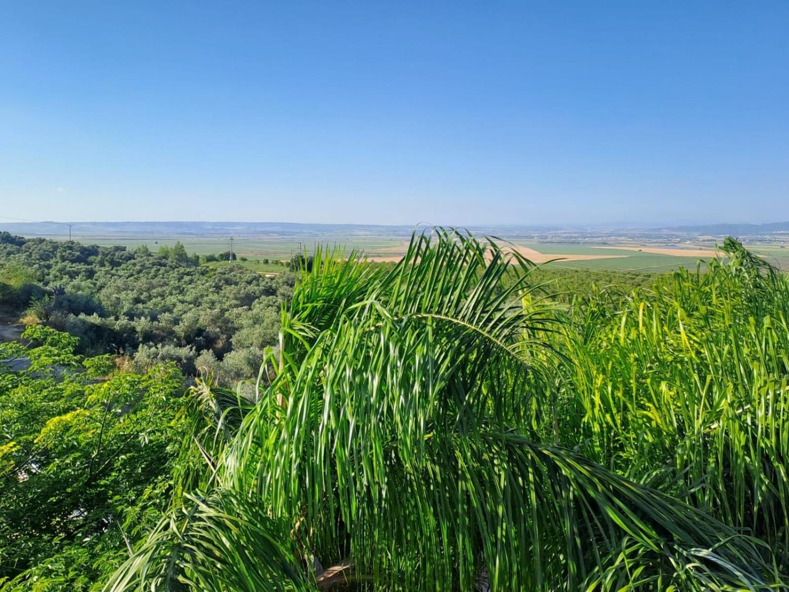 Villa Manor Midrakh 'Oz