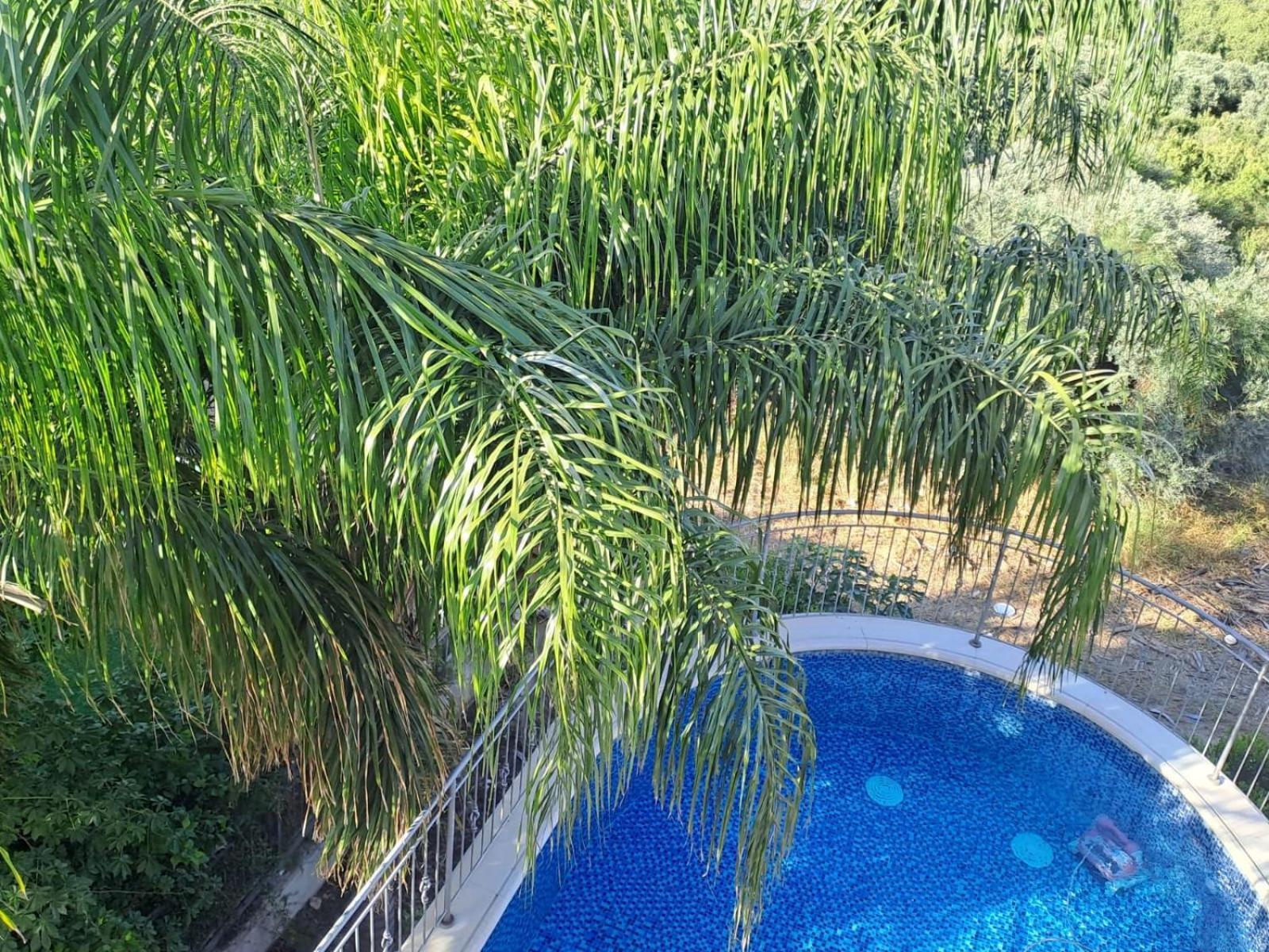 Villa Manor Midrakh 'Oz